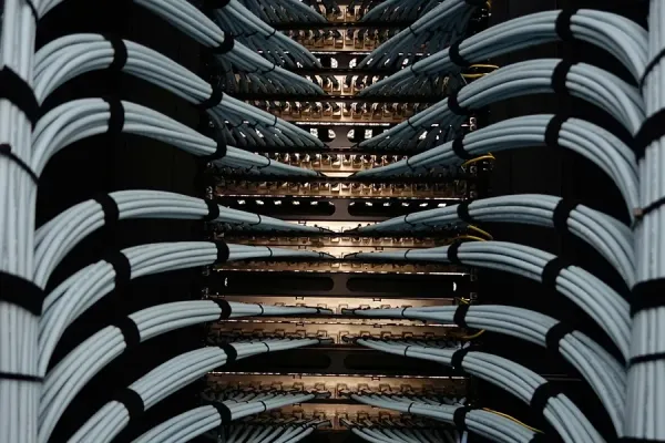 Ethernet cables going into the back of a rack of network switches