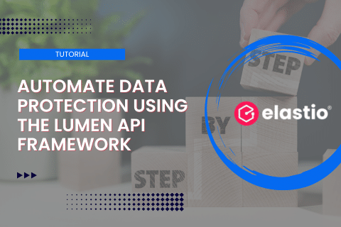 Automate Data Protection Using The Lumen API Framework | Elastio Software