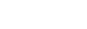 Silicon logo